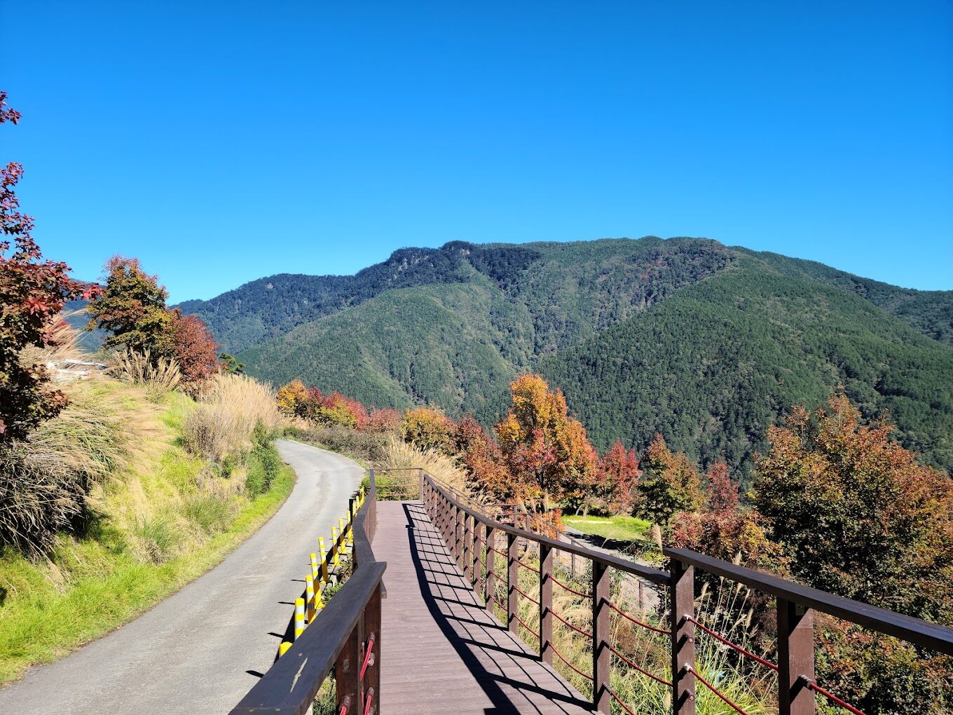 雪山登山口：雪山最佳登山季節，何時出發最理想？