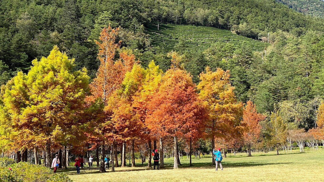 雪山登山口：雪山最佳登山季節，何時出發最理想？