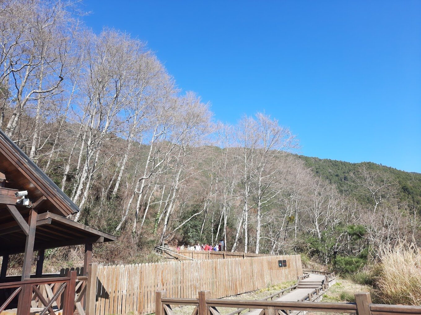 雪山登山口：雪山最佳登山季節，何時出發最理想？