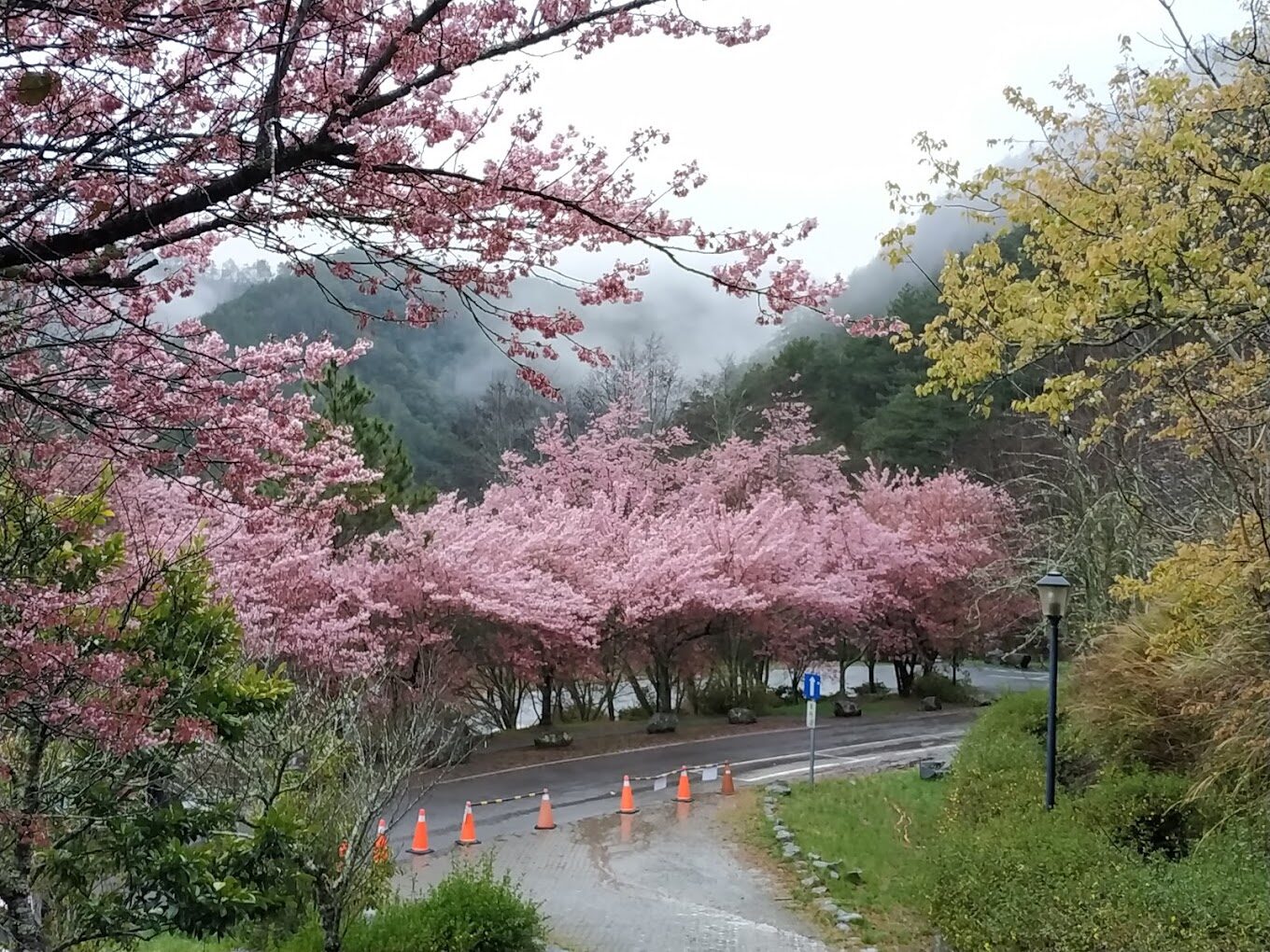 雪山東峰登山全攻略：最佳路線及行程規劃指南