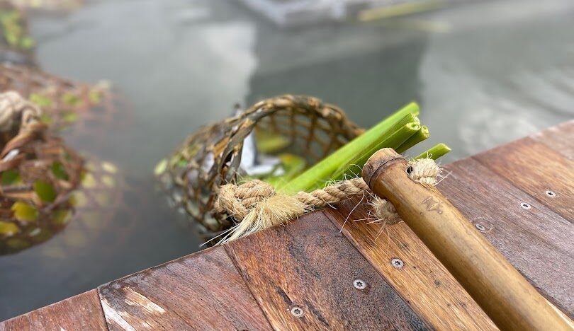宜蘭地熱谷：你不可錯過的夢幻景點介紹