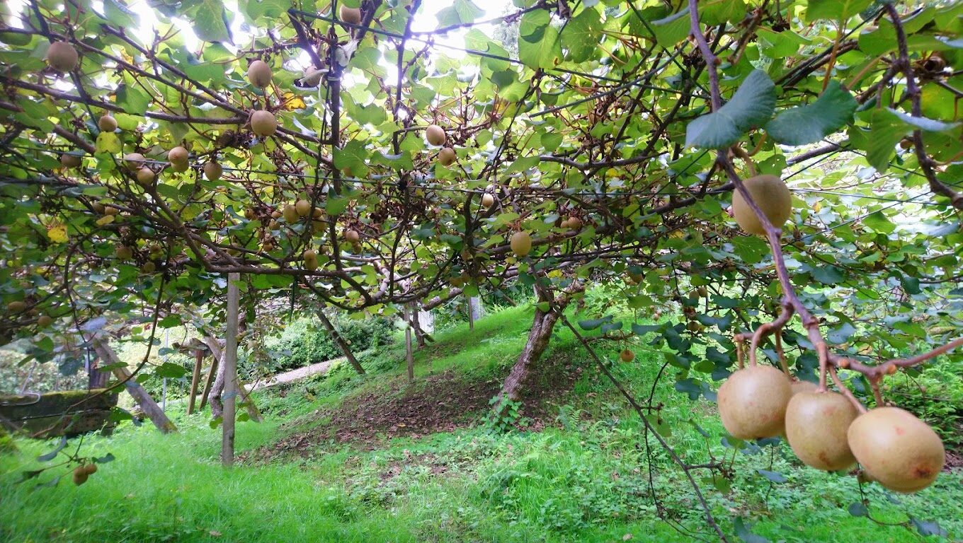 雪霸國家公園旅遊指南:十大必訪景點