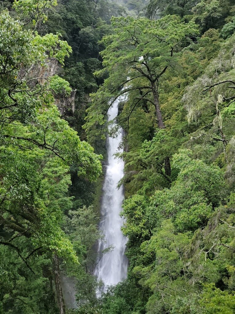 雪霸國家公園旅遊指南:十大必訪景點