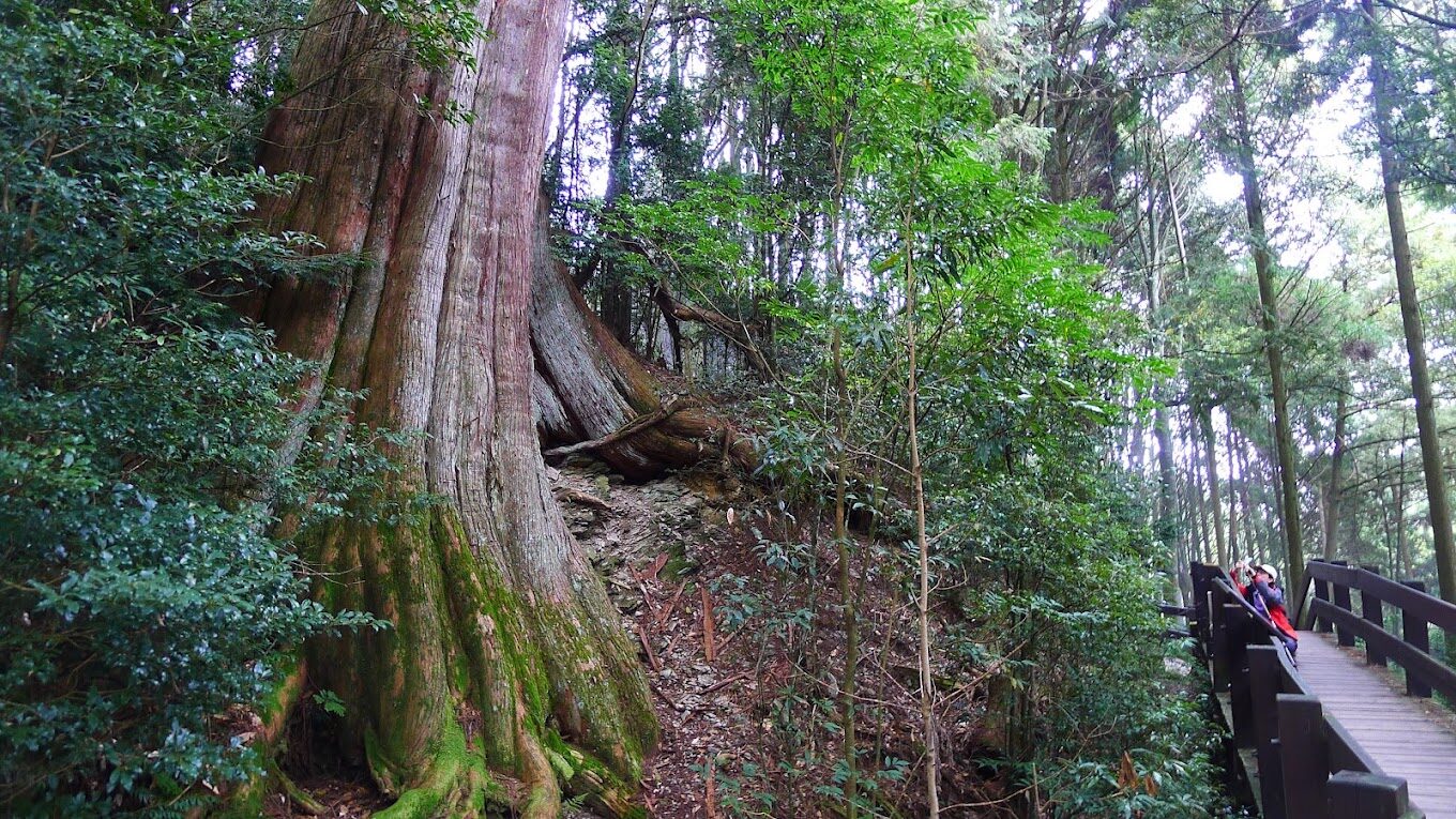雪霸國家公園旅遊指南:十大必訪景點