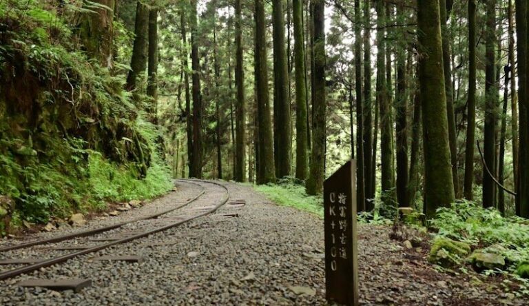 特富野古道開放資訊及遊客指南