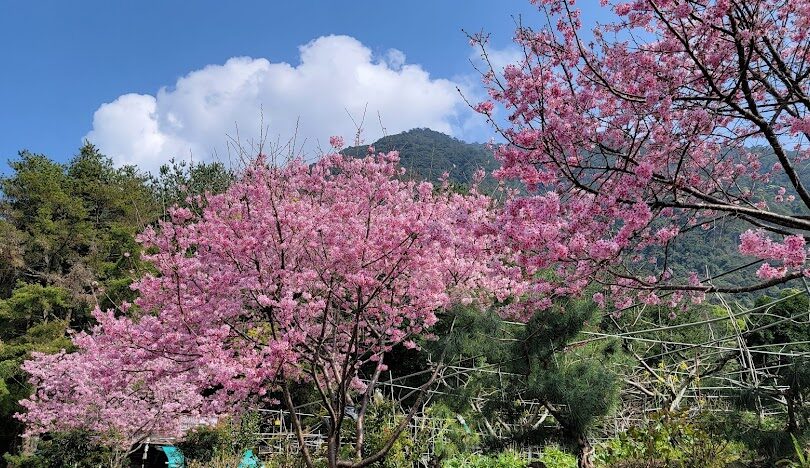 台中泡溫泉：谷關溫泉一日、二日遊攻略