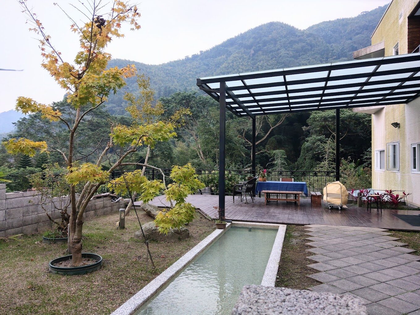 探訪杉林溪：南投森林中的綠色天堂