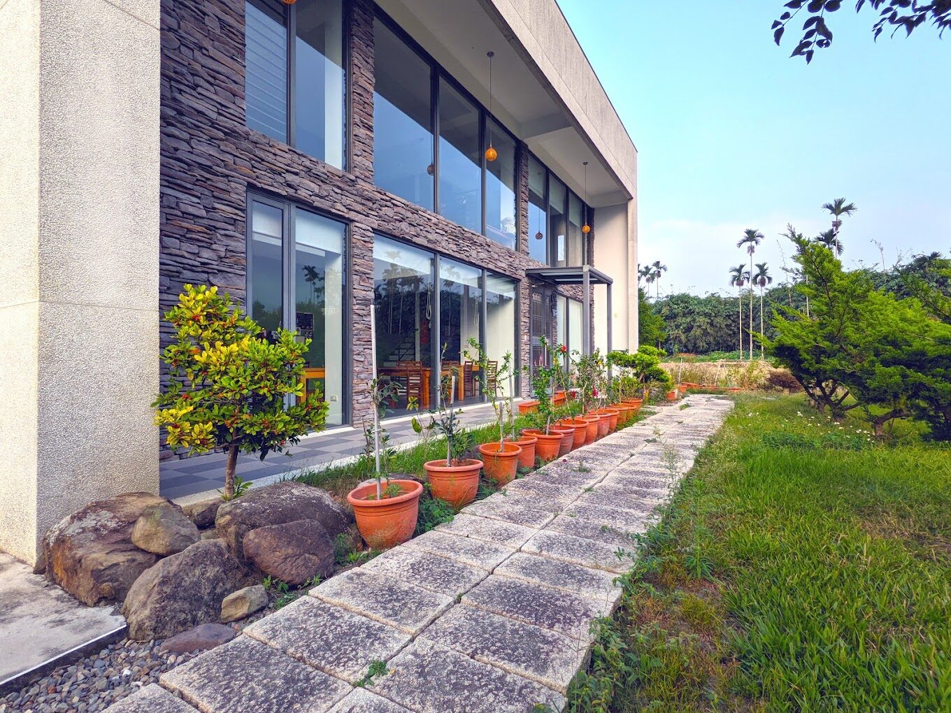 探訪杉林溪：南投森林中的綠色天堂