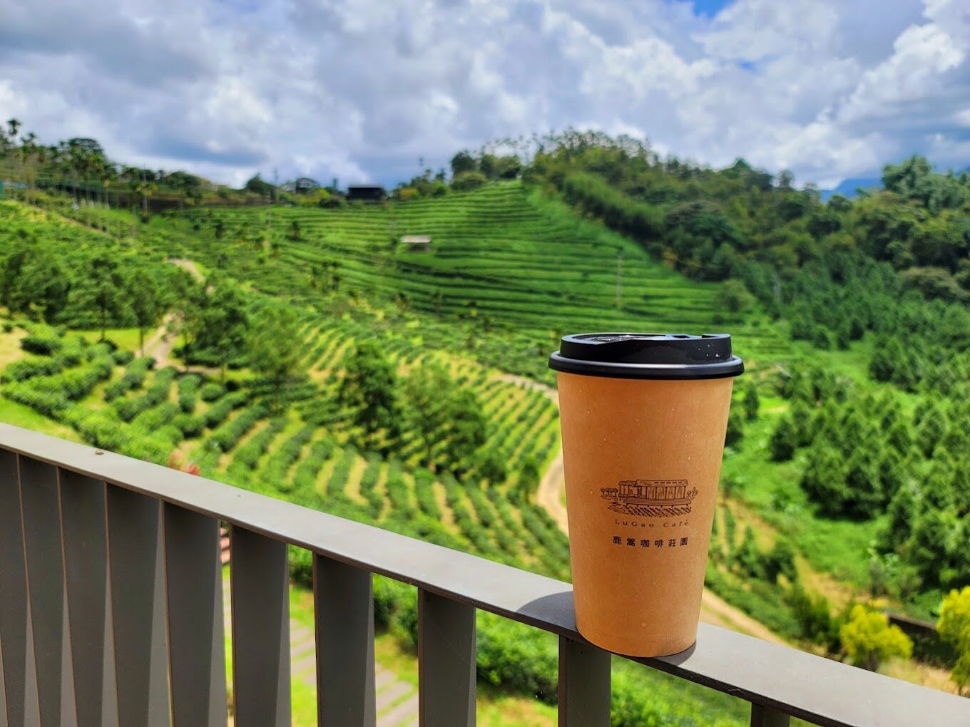 日月潭美食推薦:不可錯過的在地美味