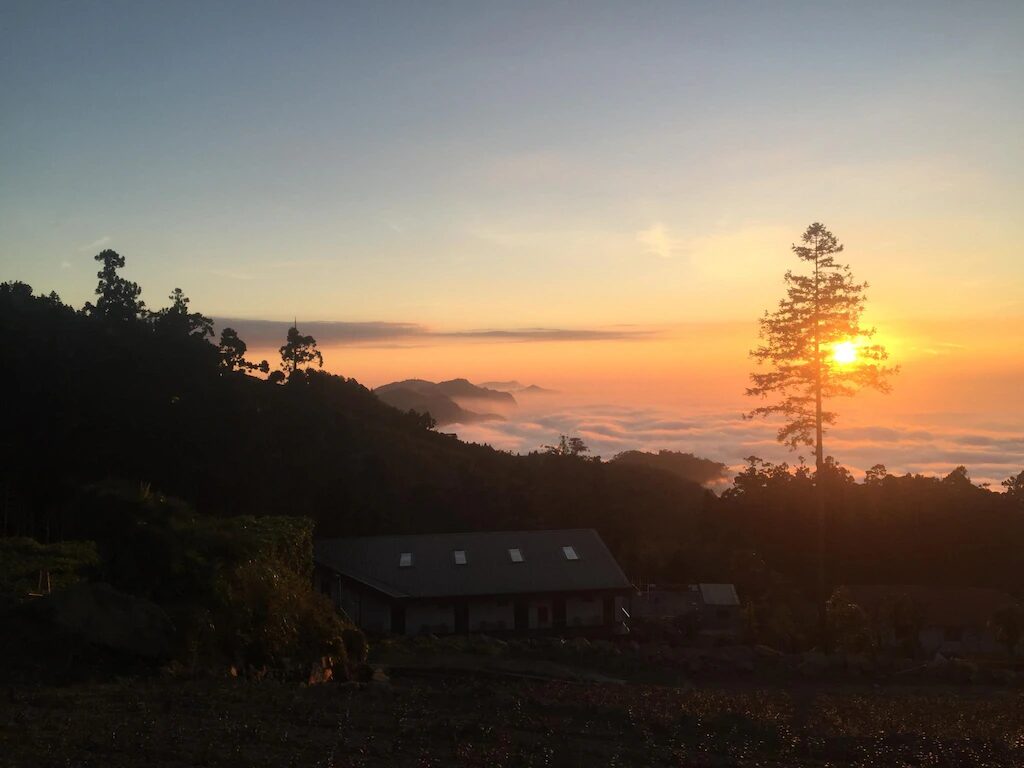阿里山民宿精選｜在隙頂茶園醒來，在石棹星空入眠