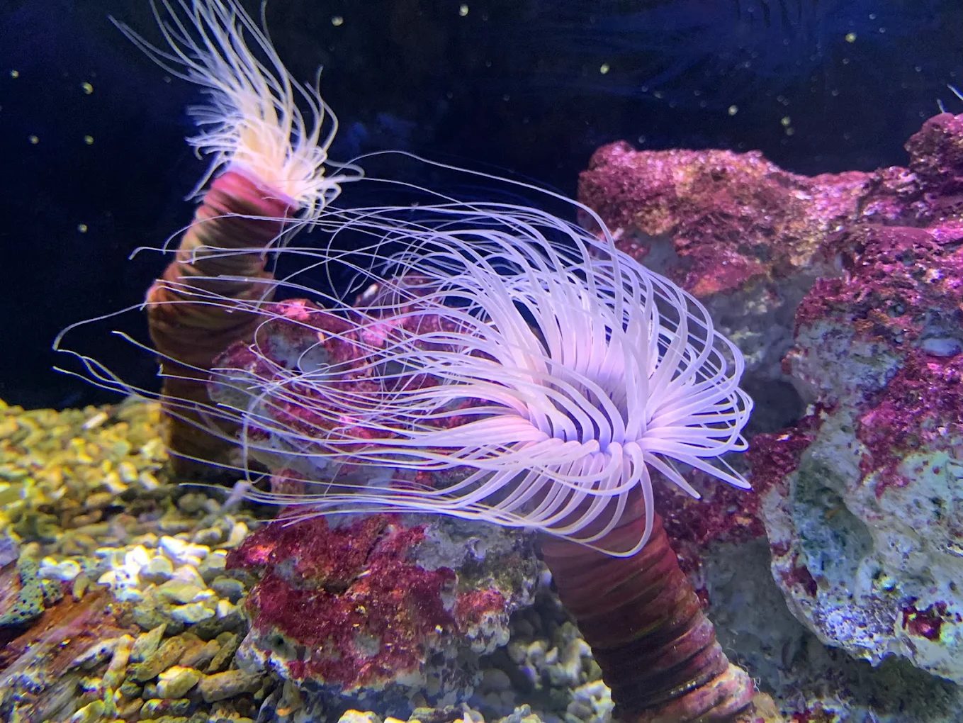 從翠峰湖仙境到礁溪美人湯：一趟宜蘭的四季風景線