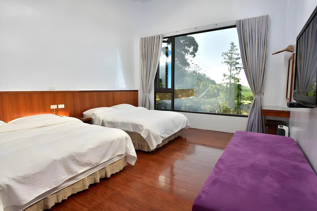 阿里山民宿精選｜在隙頂茶園醒來，在石棹星空入眠