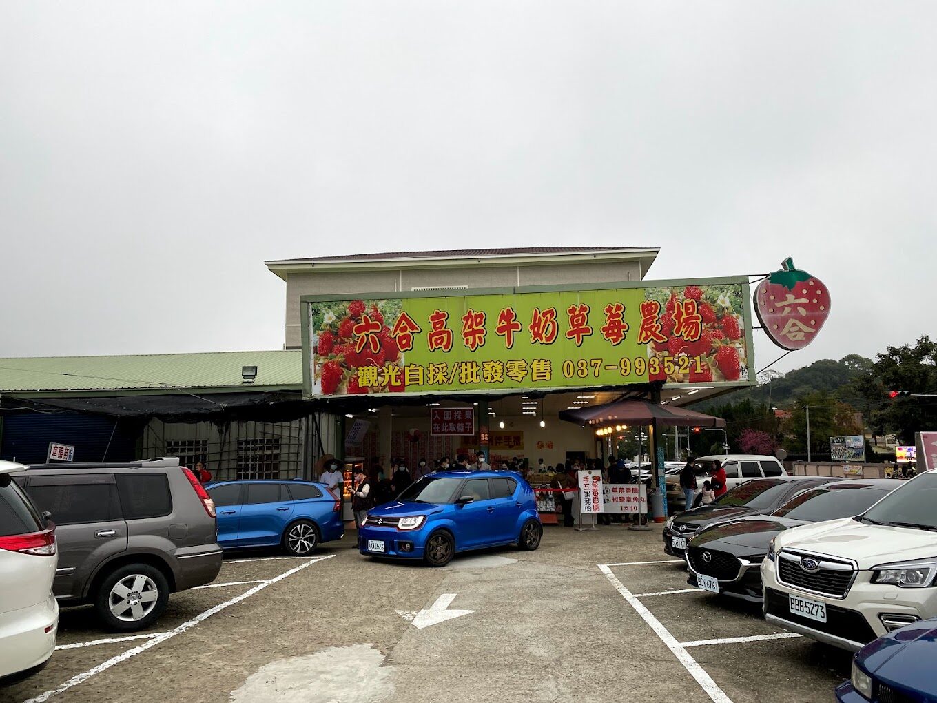 苗栗採草莓一日遊行程規劃：景點、美食與交通指南