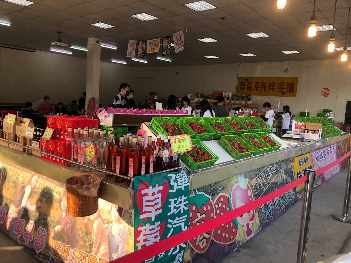 苗栗採草莓一日遊行程規劃：景點、美食與交通指南