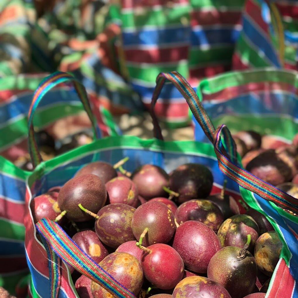苗栗採草莓一日遊行程規劃：景點、美食與交通指南
