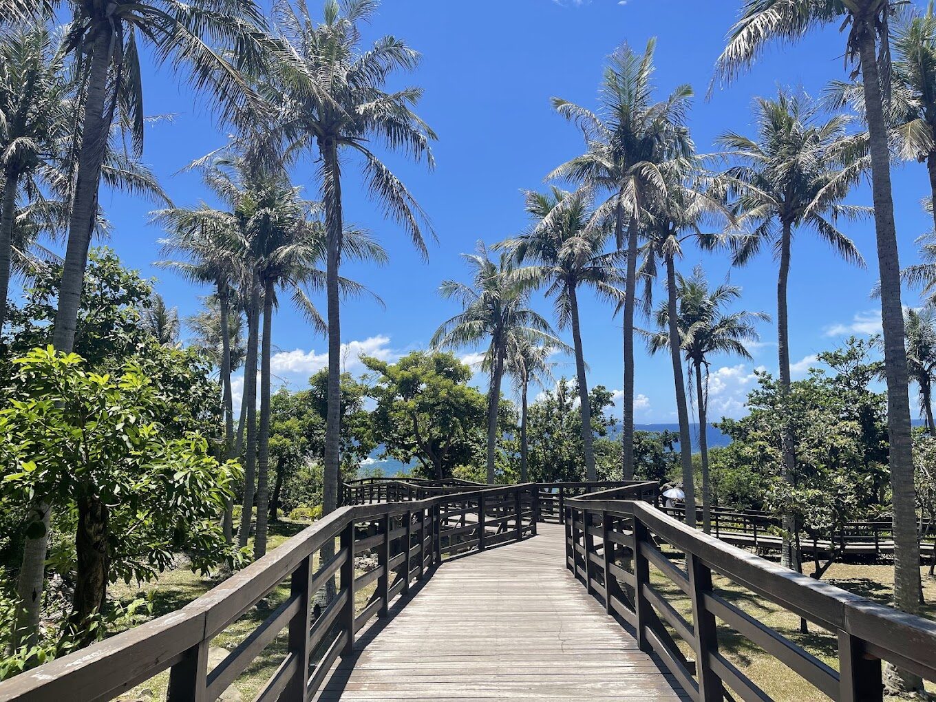 台東拍照打卡熱點:IG 網美必訪的美景地標