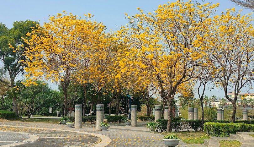 台中太平區必訪景點推薦:探索隱藏的旅遊寶地