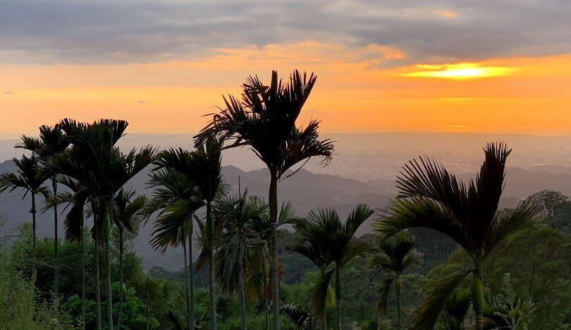台中太平區必訪景點推薦:探索隱藏的旅遊寶地