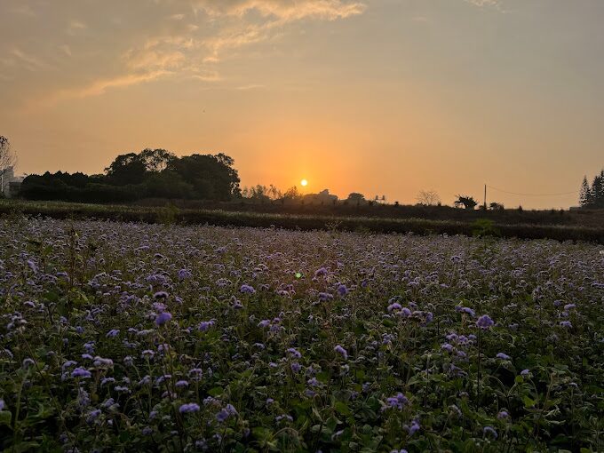 台中太平區必訪景點推薦:探索隱藏的旅遊寶地
