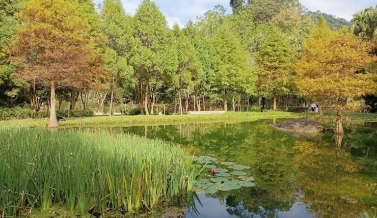台中太平區必訪景點推薦：探索隱藏的旅遊寶地