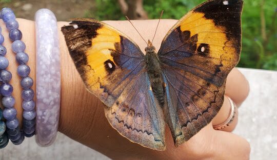 埔里必訪景點推薦：探索南投的隱藏美景