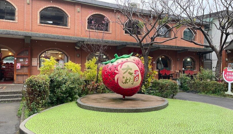 苗栗大湖一日遊行程推薦：草莓採摘與必訪景點