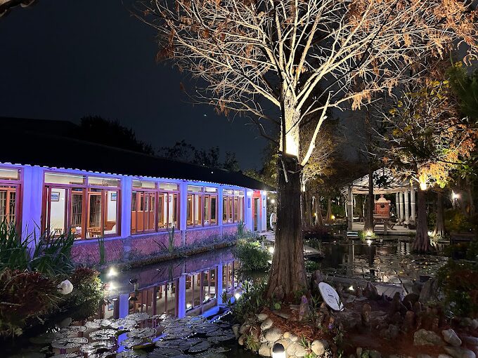 台中落羽松秘境推薦：必訪景點與最佳觀賞時間