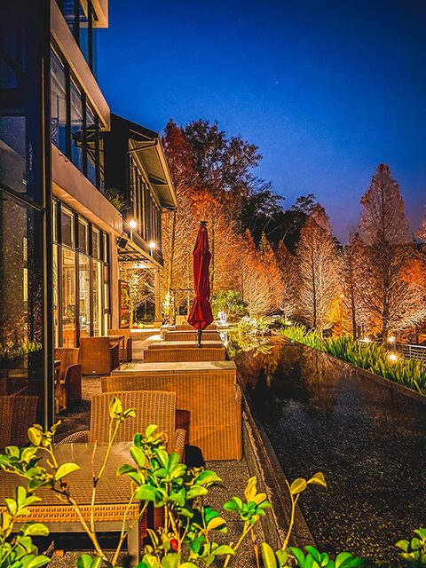 台中落羽松秘境推薦：必訪景點與最佳觀賞時間