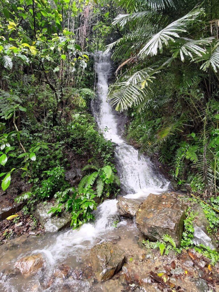 礁溪必訪景點推薦：探索宜蘭溫泉鄉的魅力