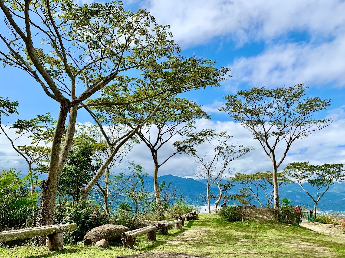台東一日遊行程規劃：精選景點與美食攻略