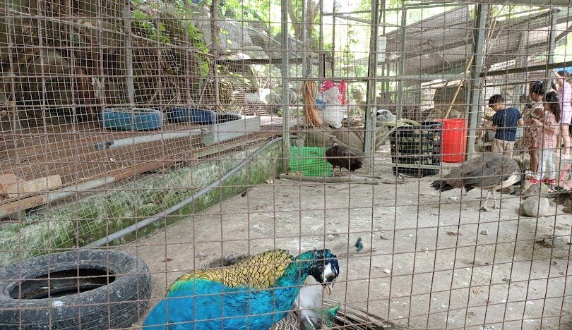 淡水親子旅遊景點：適合家庭的遊樂場所