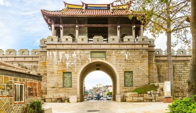 金門一條根的功效與使用方法