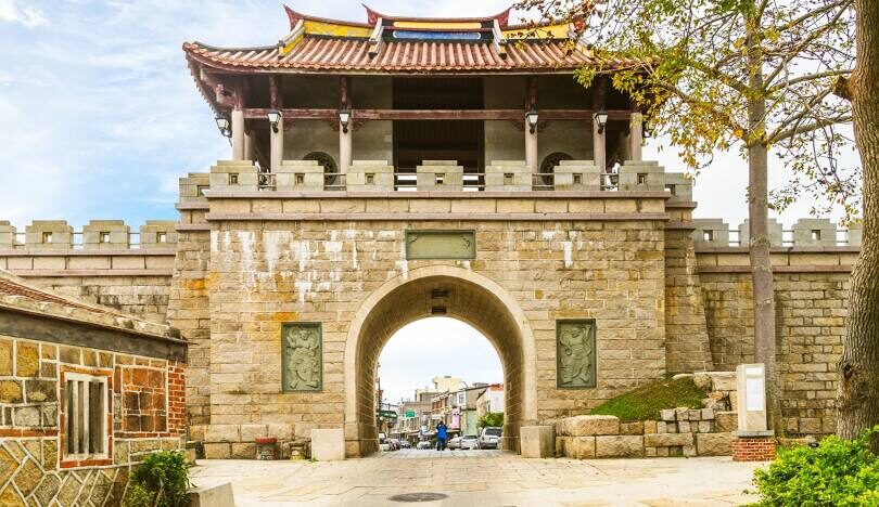 金門一條根的功效與使用方法