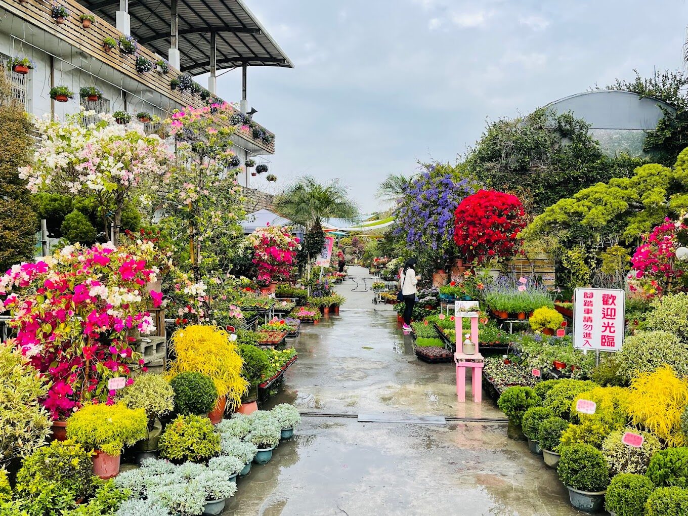 田尾公路花園必訪景點推薦