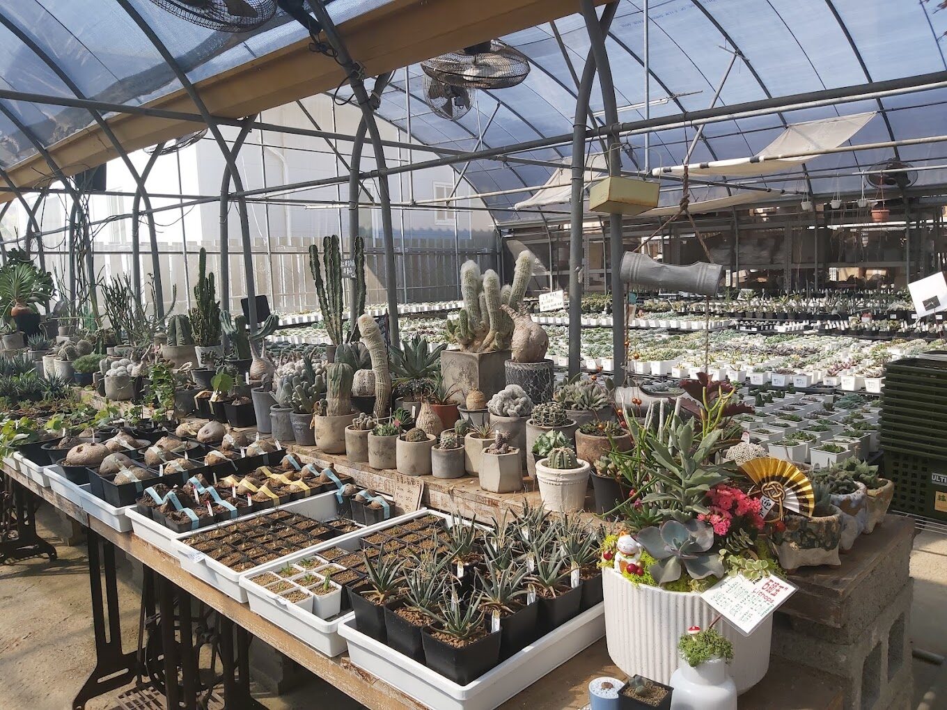 田尾公路花園必訪景點推薦