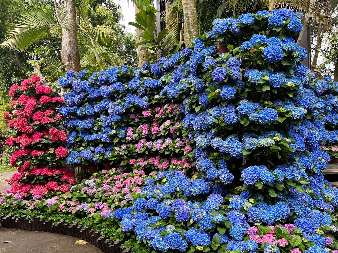 苗栗花露休閒農場門票資訊與優惠