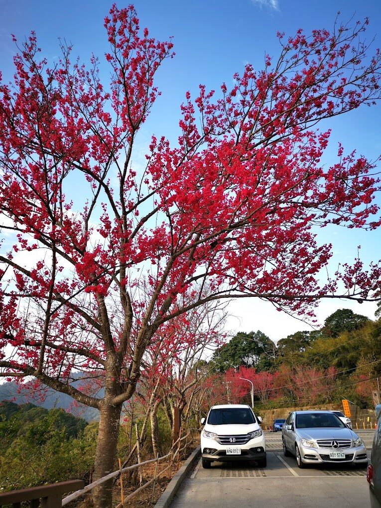 苗栗10大IG必拍網美景點推薦