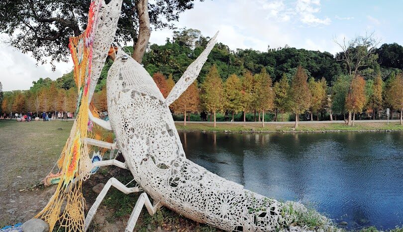 桃園大溪月眉人工濕地生態公園攻略:交通、景點與落羽松美景