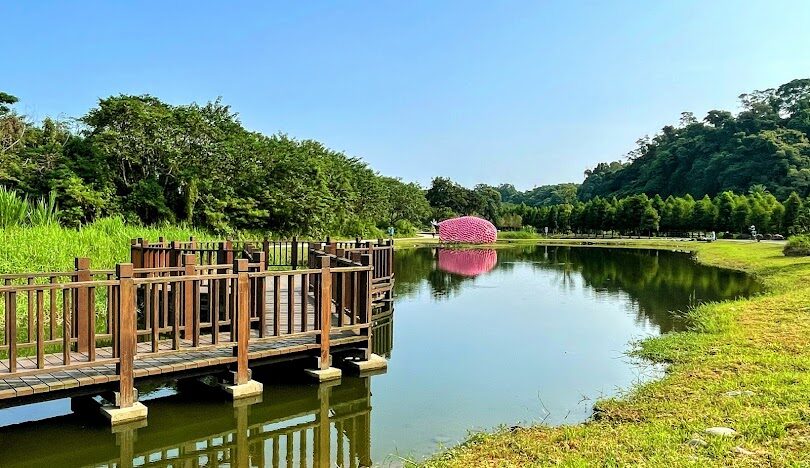 遊客漫步於月眉人工濕地的環湖木棧步道欣賞美景