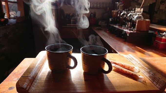 阿里山一日遊攻略：必訪景點與行程規劃