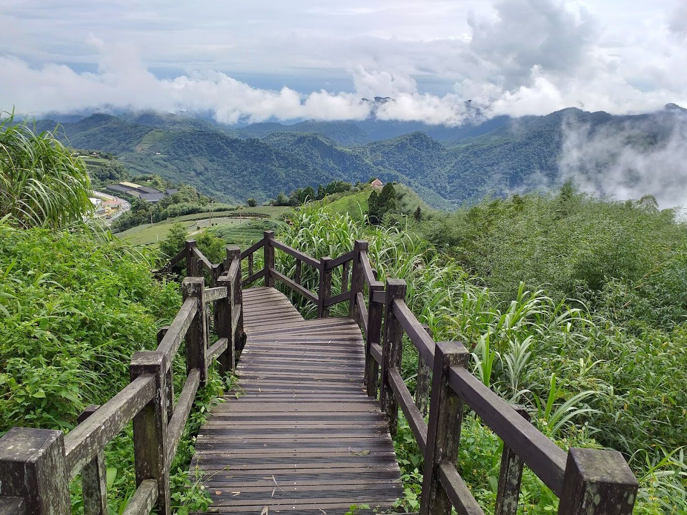 阿里山自由行攻略：最佳行程規劃與景點推薦