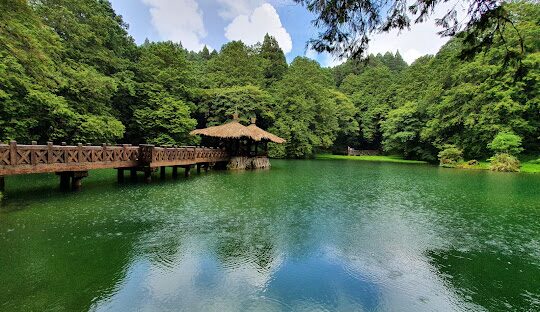 阿里山交通攻略：從嘉義到阿里山的最佳路線與方式