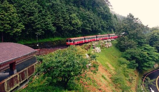 阿里山鄉入園導覽地圖
