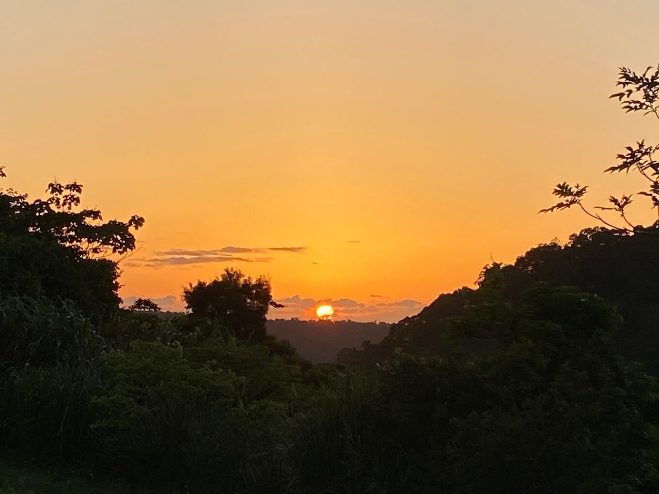 苗栗10大IG必拍網美景點推薦