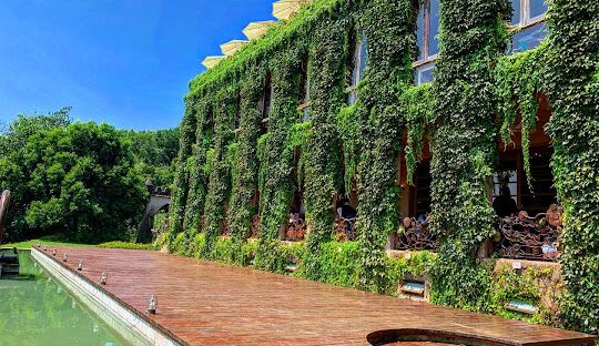 苗栗10大IG必拍網美景點推薦