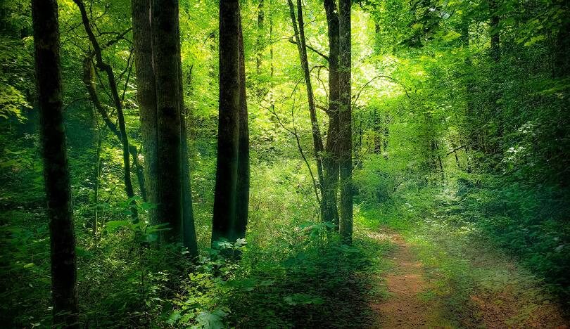 苗栗10大IG必拍網美景點推薦