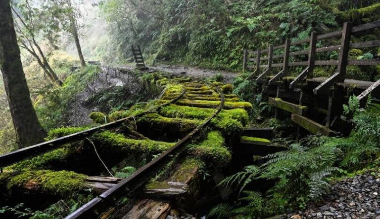 太平山見晴懷古步道攻略