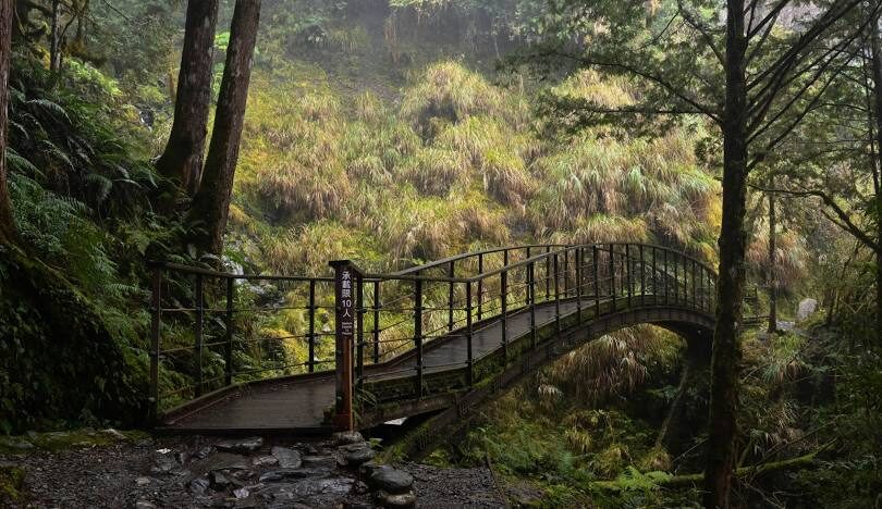 太平山見晴懷古步道攻略