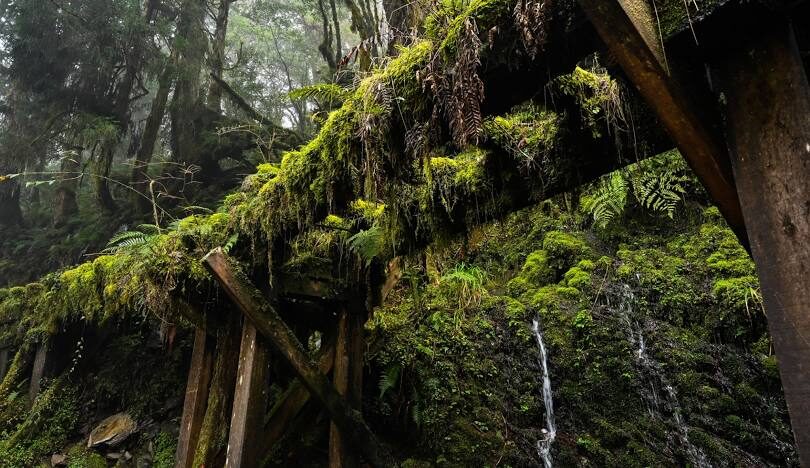 太平山見晴懷古步道攻略