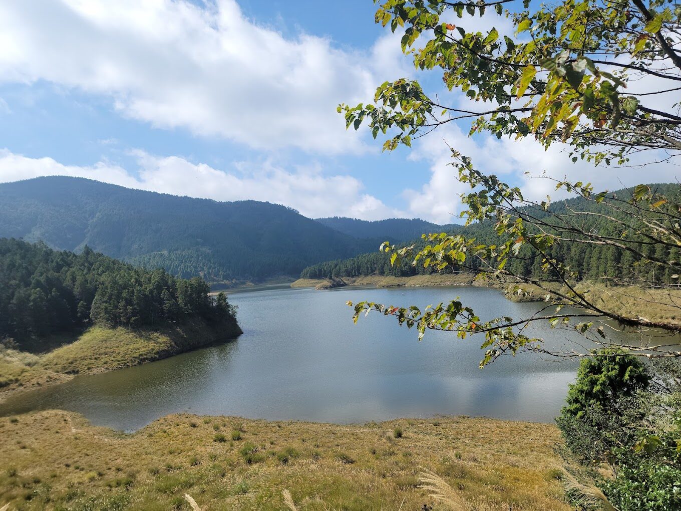 太平山翠峰湖環山步道介紹
